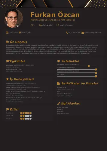 Metalürji Ve Malzeme Mühendisliği Cv Örnekleri cv indir